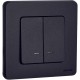 Inspiria Антрацит Выключатель 2-клавишный с подсветкой С/У без рамки 673633  Legrand