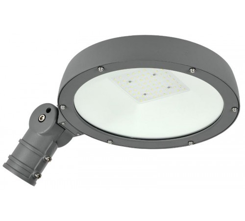 Светильник светодиодный консольный уличный ДКУ Парк 2001-40Д 5000К IP65  LDKU0-2001-040-5000-K02  IEK