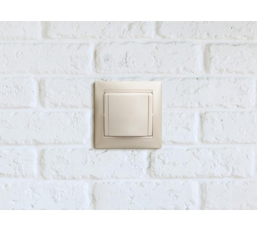 Valena Белый Розетка 1-ая с/з с крышкой защ. шторки IP21  774422  Legrand