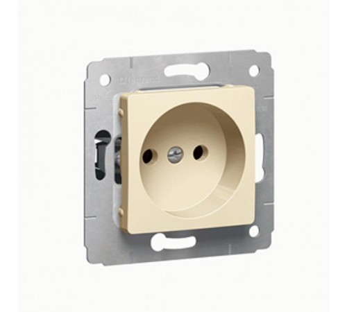 Cariva Сл. кость Розетка б/з  773716  Legrand