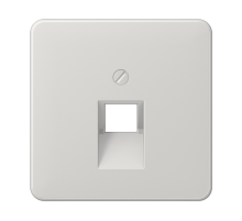 Крышка для одинарных телефонных и компьютерных розеток (UAE), фиксация винтом; термопласт; светло-серый; CD500  CD569-1UALG  Jung