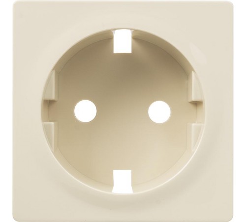 Valena LIFE Сл.кость Накладка розетки с/з  755201  Legrand
