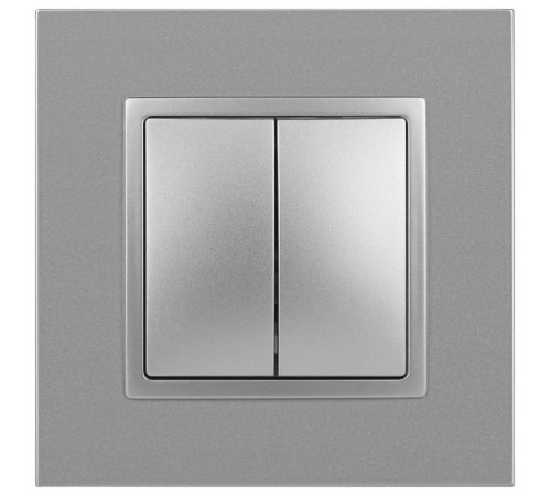 14-1104-03 Выключатель 2-клавишный, 10АХ-250В, IP20, Эра Elegance, алюминий  Б0034232  ЭРА