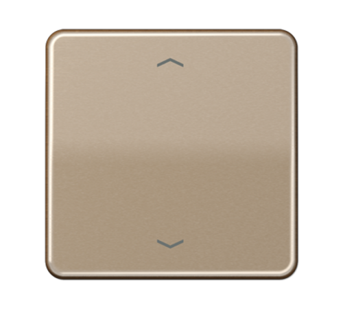 Центральная плата для вставок управления двигателями CD1700PGB Jung