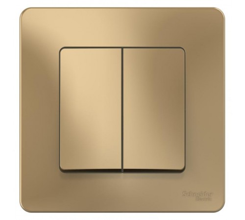 Blanca Титан С/У Выключатель 2-клавишный, 10А, 250B  BLNVS010504  SE