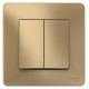 Blanca Титан С/У Выключатель 2-клавишный, 10А, 250B  BLNVS010504  SE