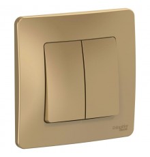Blanca Титан С/У Переключатель 2-клавишный, 10А, 250B  BLNVS106604  SE