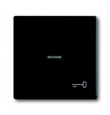 Клавиша для механизма 1-клавишного выключателя/переключателя/кнопки, с прозрачной линзой и символом КЛЮЧ, серия solo/future, цвет антрацит  1751-0-30