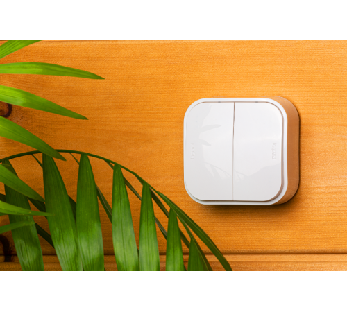 Quteo Белый Выключатель 2-клавишный 10А  782202  Legrand