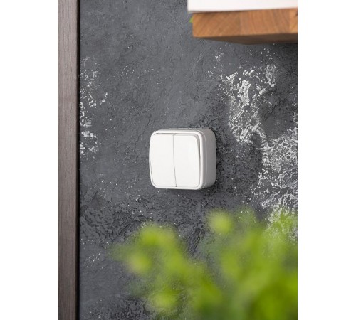 Минск Выключатель 2-клавишный ОП 10А белый  EKF Basic  EGV10-023-10  EKF