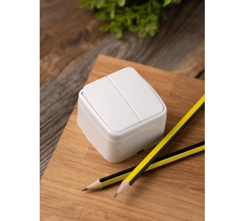 Минск Выключатель 2-клавишный ОП 10А белый  EKF Basic  EGV10-023-10  EKF