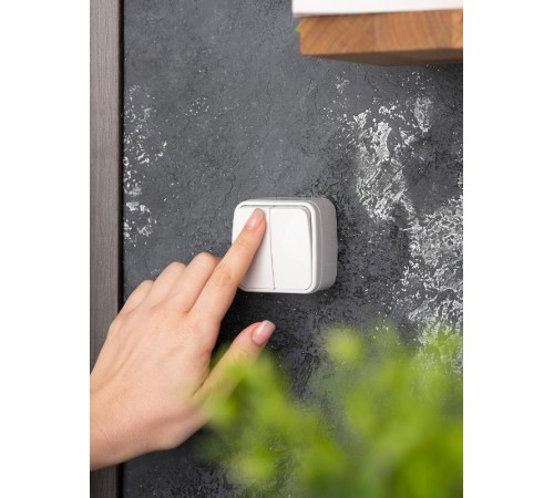 Минск Выключатель 2-клавишный ОП 10А белый  EKF Basic  EGV10-023-10  EKF