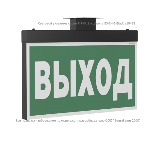 Световой указатель аварийного освещения BS-FIRMUS-10-S1-24 Black  a19355  Белый свет