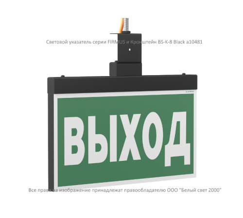 Световой указатель аварийного освещения BS-FIRMUS-10-S1-24 Black  a19355  Белый свет