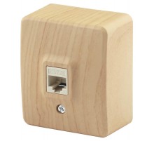 Розетка информационная 11-3203-11 RJ45, ОУ, Эксперт, Сосна Б0020732  ЭРА