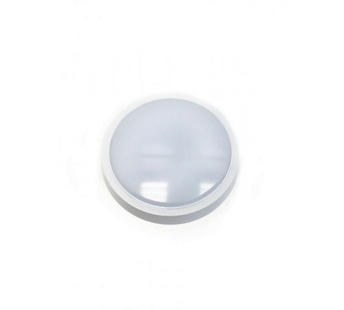 Светильник светодиодный СПБ-2-КРУГ 24Вт 230В 6500К 1700лм 310мм белый  4690612033181  IN HOME