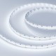 Лента светодиодная RT 2-5000 24V Cool 8K 10mm (2835, 252 LED/m, LUX)  022654  Arlight